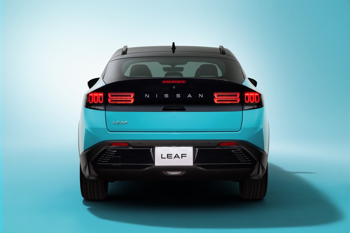 Nowy_Leaf_back
